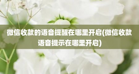 微信收款的语音提醒在哪里开启(微信收款语音提示在哪里开启)