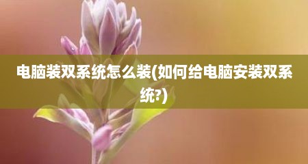 电脑装双系统怎么装(如何给电脑安装双系统?)