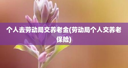 个人去劳动局交养老金(劳动局个人交养老保险)