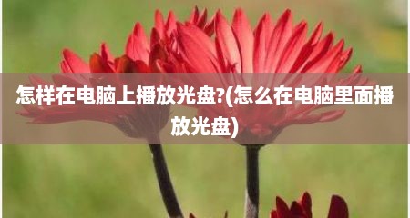 怎样在电脑上播放光盘?(怎么在电脑里面播放光盘)