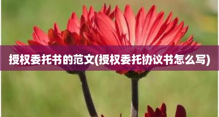 授权委托书的范文(授权委托协议书怎么写)