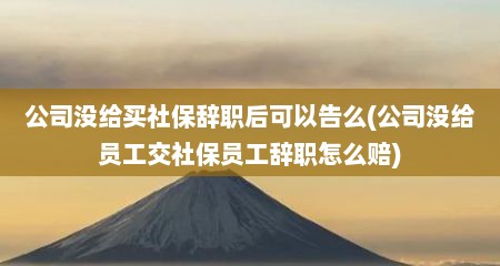 公司没给买社保辞职后可以告么(公司没给员工交社保员工辞职怎么赔)