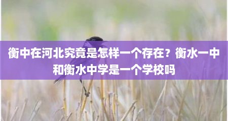 衡中在河北究竟是怎样一个存在？衡水一中和衡水中学是一个学校吗