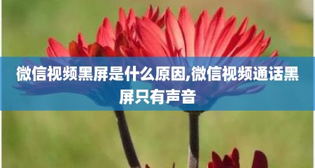 微信视频黑屏是什么原因,微信视频通话黑屏只有声音