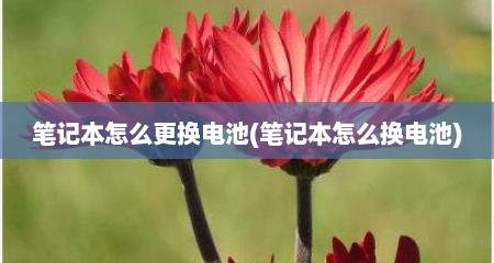 笔记本怎么更换电池(笔记本怎么换电池)