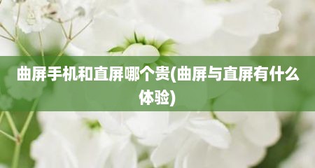 曲屏手机和直屏哪个贵(曲屏与直屏有什么体验)