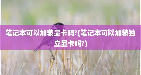 笔记本可以加装显卡吗?(笔记本可以加装独立显卡吗?)