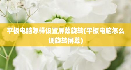 平板电脑怎样设置屏幕旋转(平板电脑怎么调旋转屏幕)