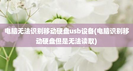 电脑无法识别移动硬盘usb设备(电脑识别移动硬盘但是无法读取)