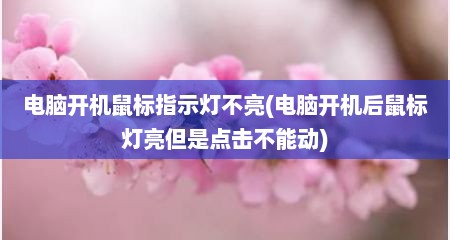 电脑开机鼠标指示灯不亮(电脑开机后鼠标灯亮但是点击不能动)