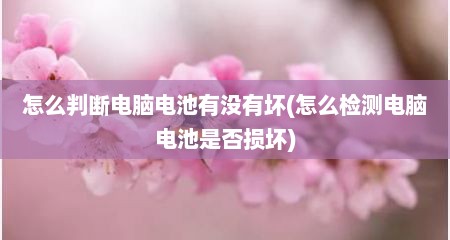 怎么判断电脑电池有没有坏(怎么检测电脑电池是否损坏)