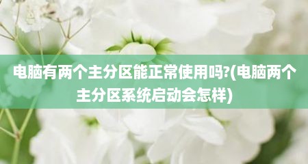 电脑有两个主分区能正常使用吗?(电脑两个主分区系统启动会怎样)