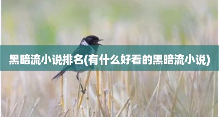 黑暗流小说排名(有什么好看的黑暗流小说)