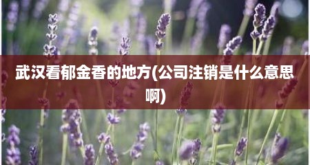 武汉看郁金香的地方(公司注销是什么意思啊)