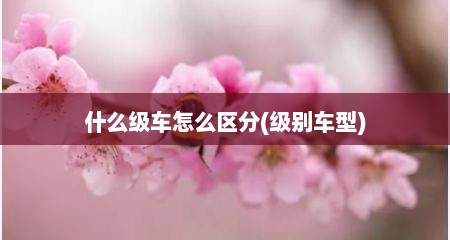 什么级车怎么区分(级别车型)