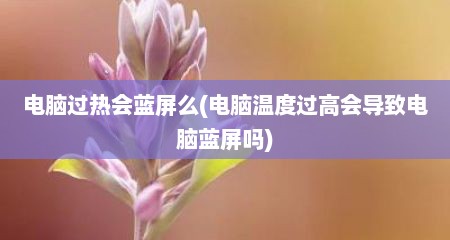 电脑过热会蓝屏么(电脑温度过高会导致电脑蓝屏吗)