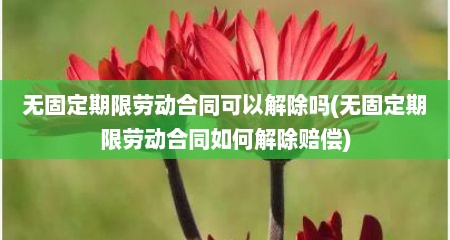 无固定期限劳动合同可以解除吗(无固定期限劳动合同如何解除赔偿)