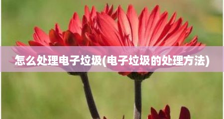 怎么处理电子垃圾(电子垃圾的处理方法)