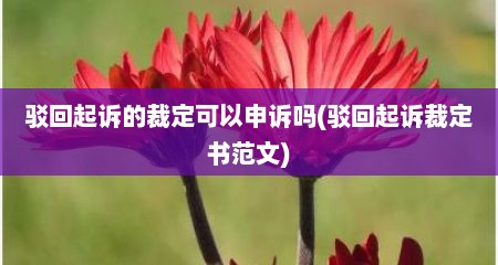 驳回起诉的裁定可以申诉吗(驳回起诉裁定书范文)