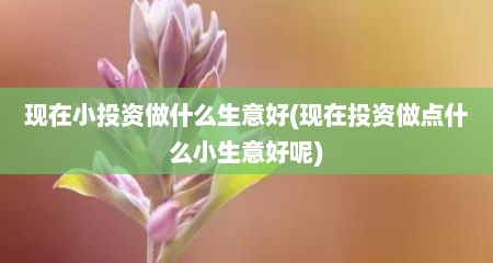 现在小投资做什么生意好(现在投资做点什么小生意好呢)