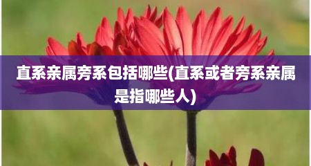 直系亲属旁系包括哪些(直系或者旁系亲属是指哪些人)