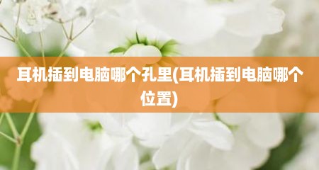 耳机插到电脑哪个孔里(耳机插到电脑哪个位置)