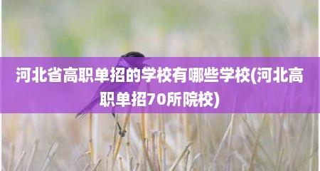 河北省高职单招的学校有哪些学校(河北高职单招70所院校)