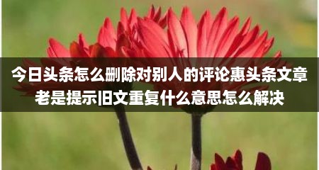 今日头条怎么删除对别人的评论惠头条文章老是提示旧文重复什么意思怎么解决