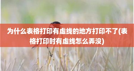 为什么表格打印有虚线的地方打印不了(表格打印时有虚线怎么弄没)