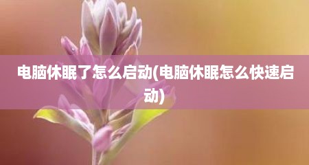 电脑休眠了怎么启动(电脑休眠怎么快速启动)