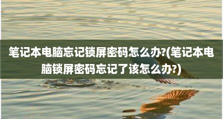 笔记本电脑忘记锁屏密码怎么办?(笔记本电脑锁屏密码忘记了该怎么办?)