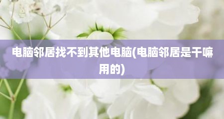 电脑邻居找不到其他电脑(电脑邻居是干嘛用的)