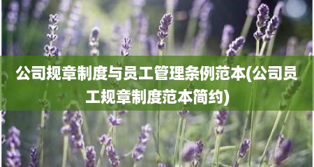 公司规章制度与员工管理条例范本(公司员工规章制度范本简约)