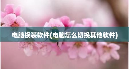 电脑换装软件(电脑怎么切换其他软件)