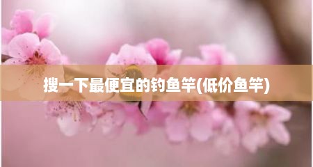 搜一下最便宜的钓鱼竿(低价鱼竿)