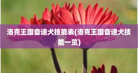 洛克王国音速犬技能表(洛克王国音速犬技能一览)