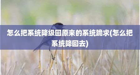 怎么把系统降级回原来的系统跪求(怎么把系统降回去)