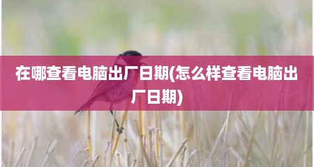 在哪查看电脑出厂日期(怎么样查看电脑出厂日期)