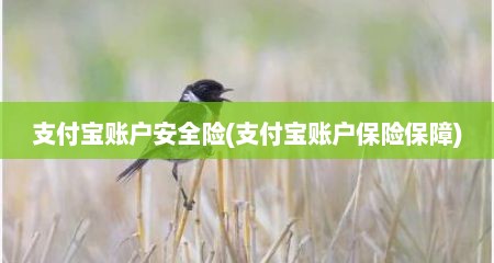 支付宝账户安全险(支付宝账户保险保障)