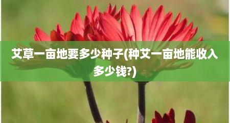 艾草一亩地要多少种子(种艾一亩地能收入多少钱?)