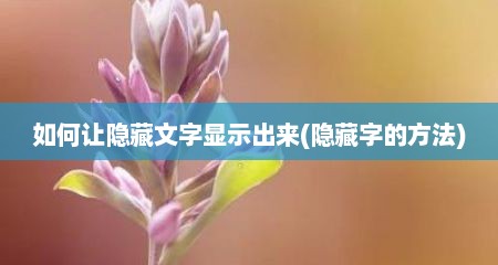 如何让隐藏文字显示出来(隐藏字的方法)