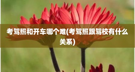 考驾照和开车哪个难(考驾照跟驾校有什么关系)