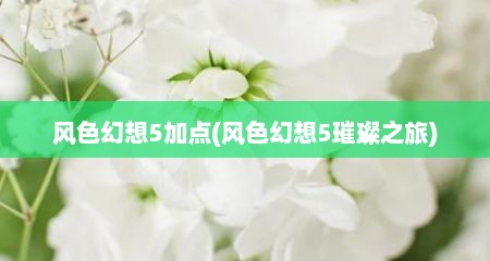 风色幻想5加点(风色幻想5璀璨之旅)