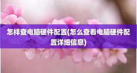 怎样查电脑硬件配置(怎么查看电脑硬件配置详细信息)