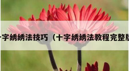 十字绣绣法技巧（十字绣绣法教程完整版）