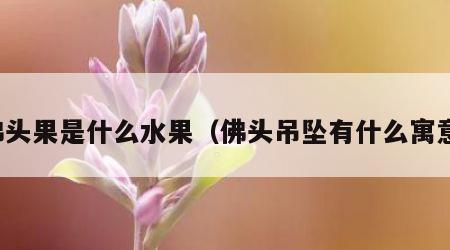 佛头果是什么水果（佛头吊坠有什么寓意）