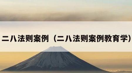 二八法则案例（二八法则案例教育学）