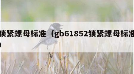 锁紧螺母标准（gb61852锁紧螺母标准）