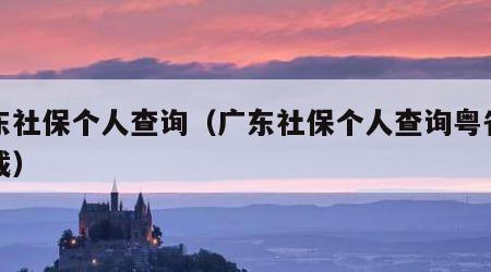 广东社保个人查询（广东社保个人查询粤省事下载）