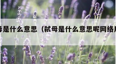 弑母是什么意思（弑母是什么意思呢网络用语）